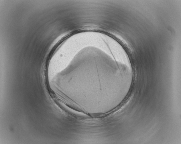 X0000114101325200911161050