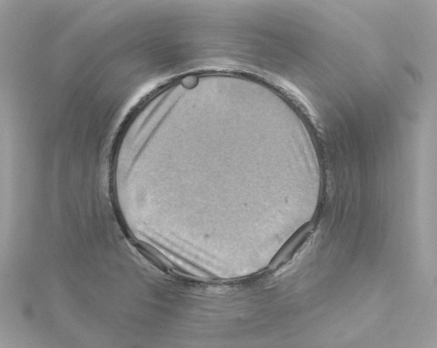 X0000114101326200911161050