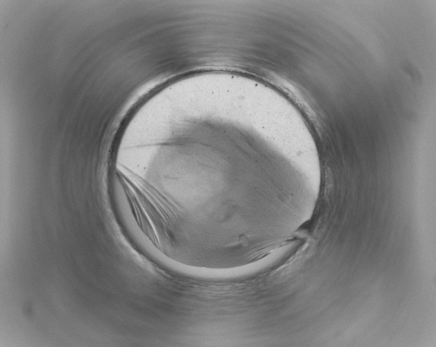 X0000114101331200911161050