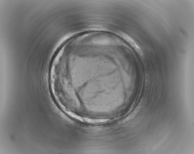 X0000114101334200911161050