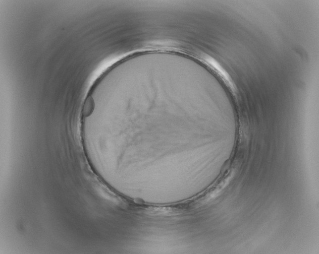 X0000114101336200911161050