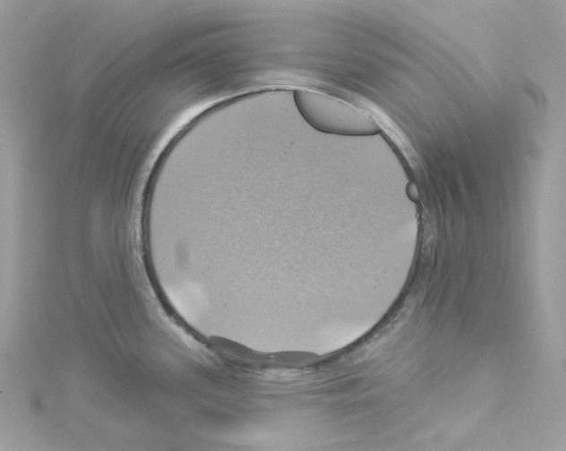 X0000114101339200911161050