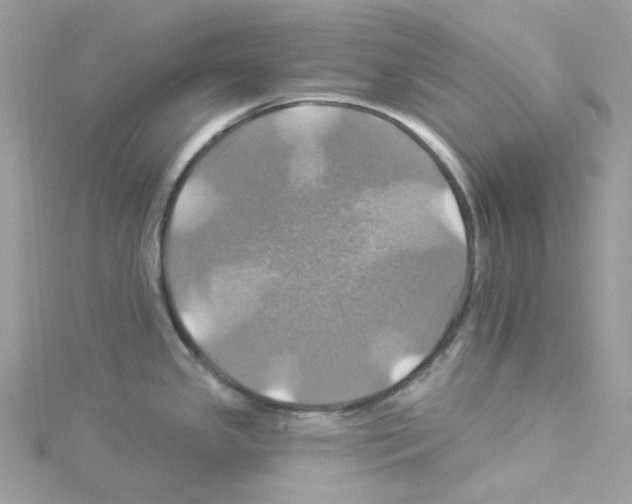 X0000114101341200911161050