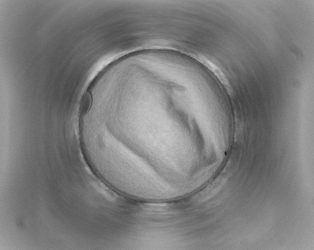 X0000114101342200911161050