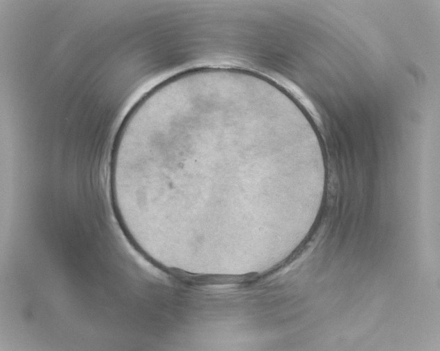 X0000114101343200911161050