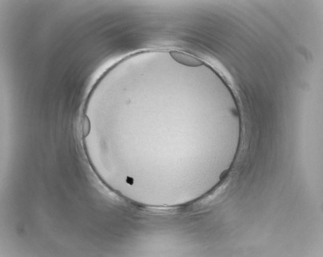 X0000114101344200911161050