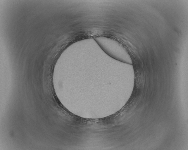 X0000114101345200911161049