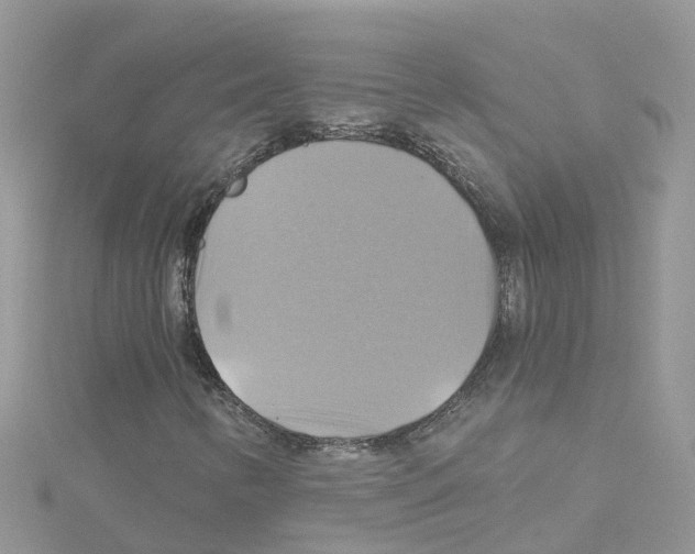 X0000114101346200911161049