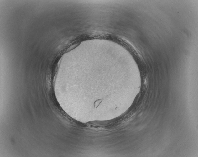 X0000114101348200911161049