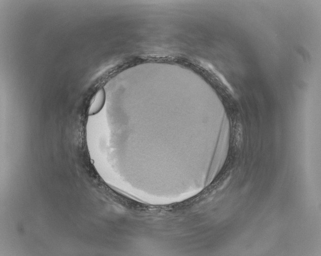 X0000114101350200911161049