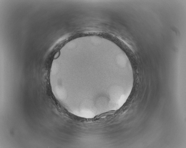 X0000114101351200911161049