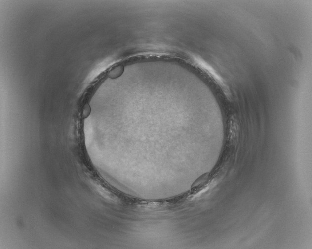 X0000114101352200911161049