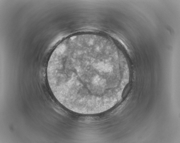 X0000114101355200911161049