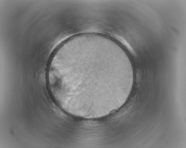 X0000114101356200911161049