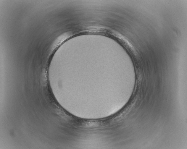 X0000114101362200911161049