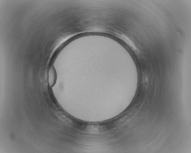 X0000114101364200911161049