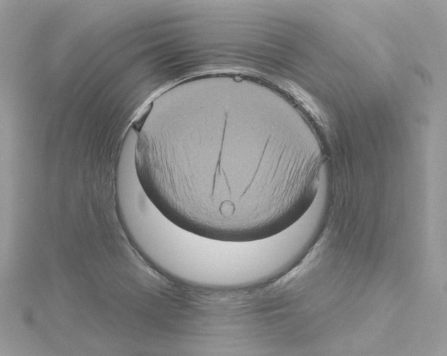 X0000114101369200911161049