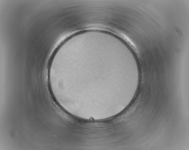 X0000114101376200911161049