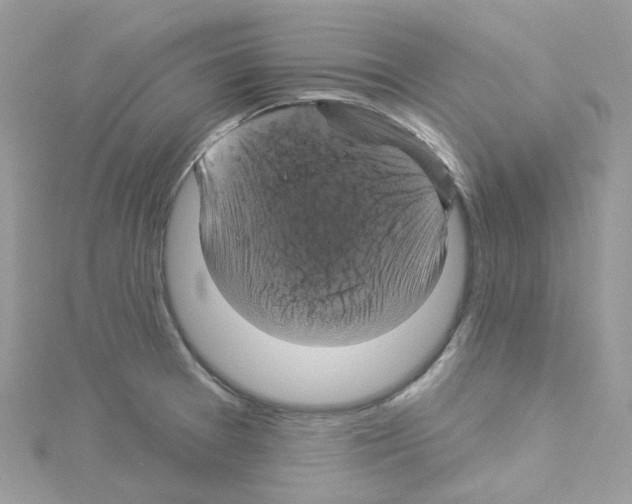 X0000114101377200911161049