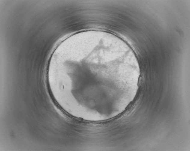 X0000114101379200911161049