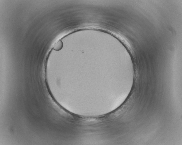 X0000114101382200911161049