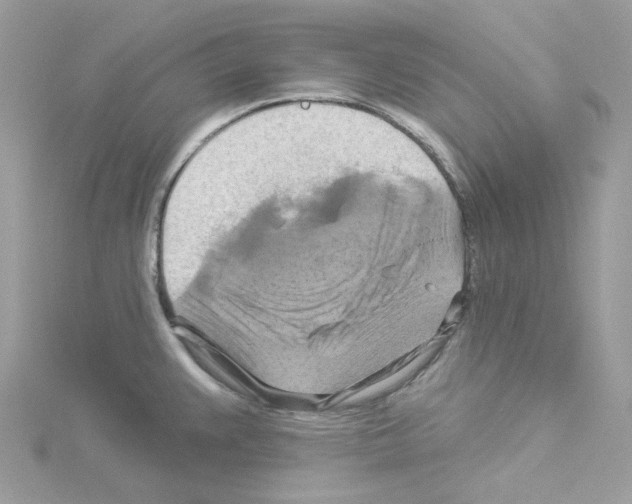 X0000114101383200911161049