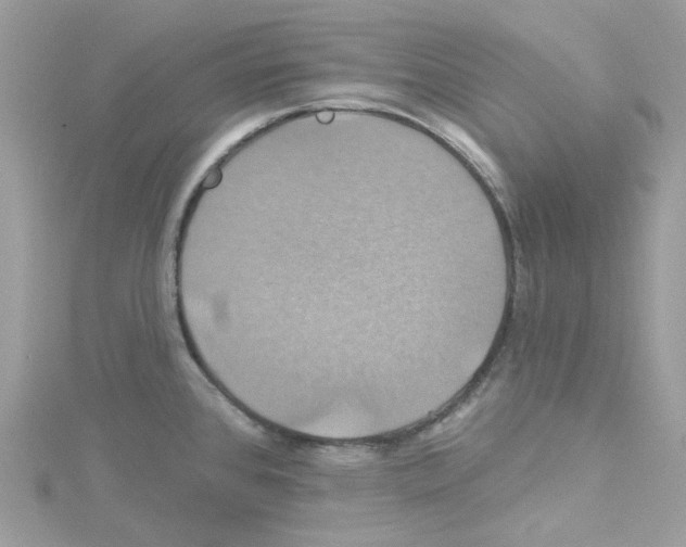 X0000114101384200911161049