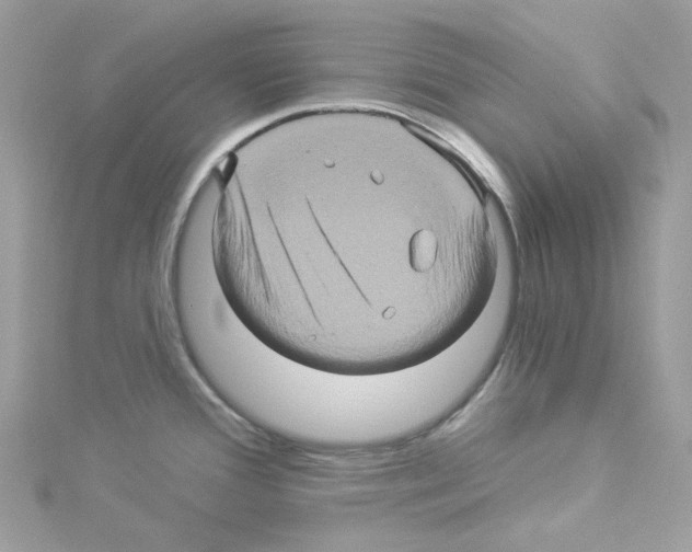 X0000114101388200911161049