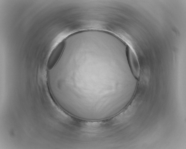 X0000114101389200911161049