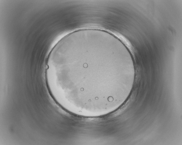 X0000114101390200911161049