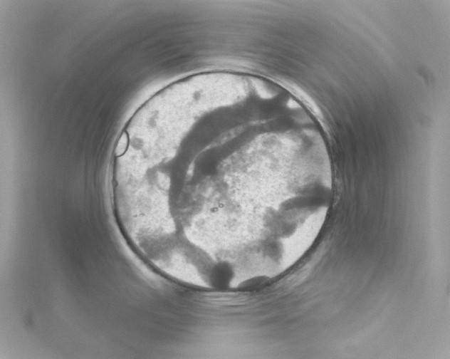 X0000114101391200911161049