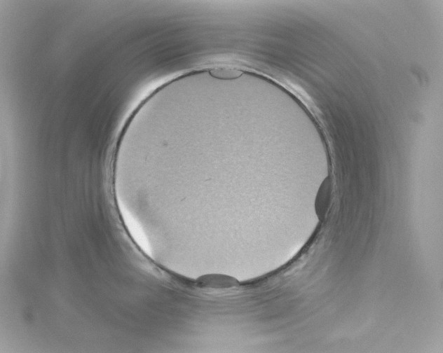 X0000114101392200911161049