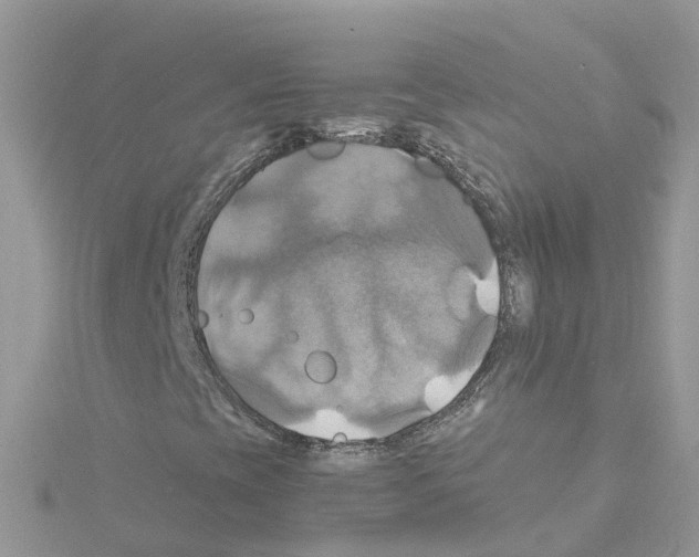 X0000114101393200911161048