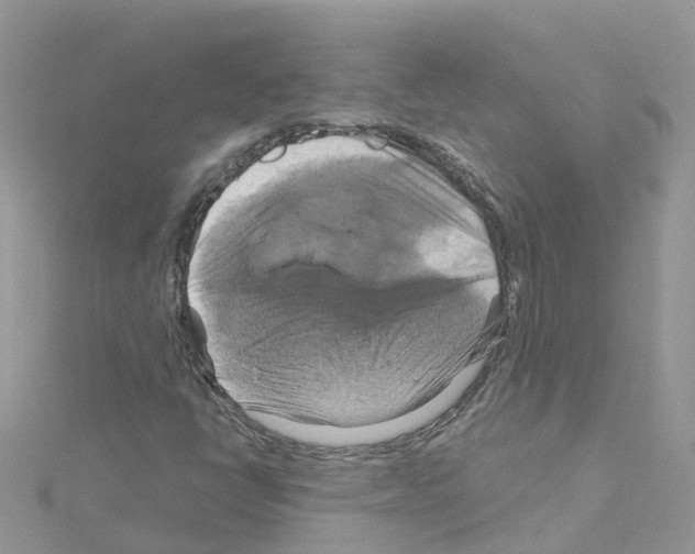 X0000114101398200911161048