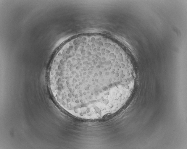 X0000114101404200911161048