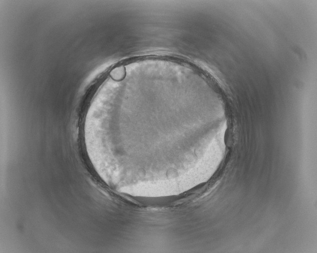 X0000114101406200911161048