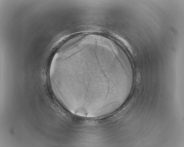 X0000114101407200911161048