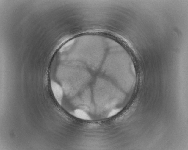 X0000114101409200911161048