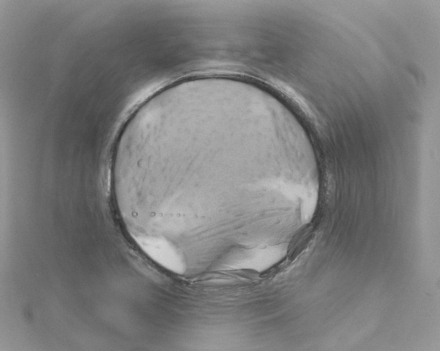 X0000114101413200911161048