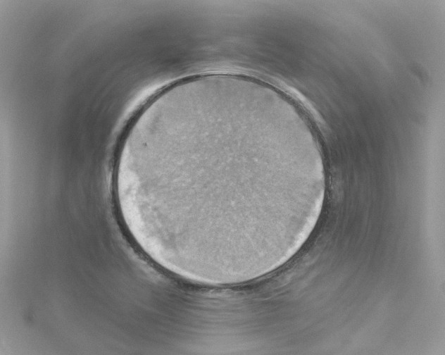 X0000114101416200911161048