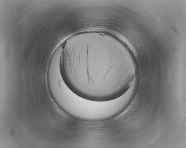 X0000114101417200911161048