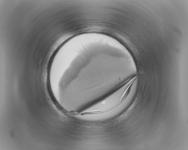 X0000114101418200911161048