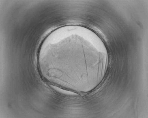 X0000114101419200911161049