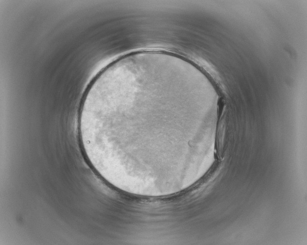 X0000114101420200911161049