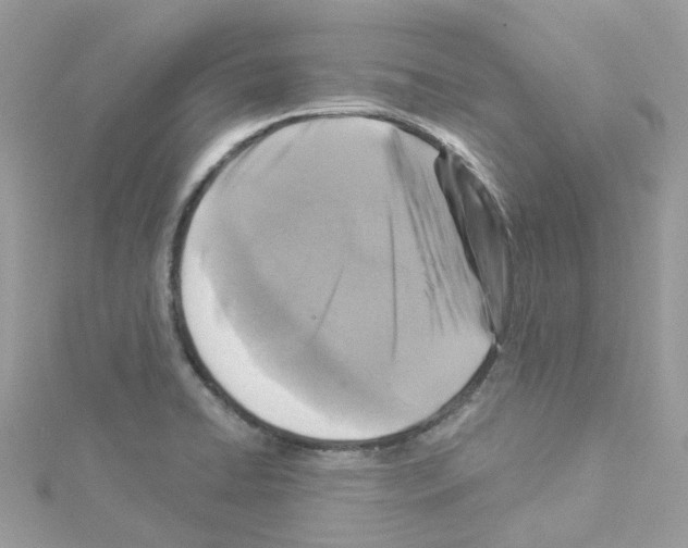 X0000114101422200911161049