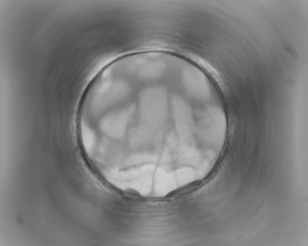 X0000114101423200911161049