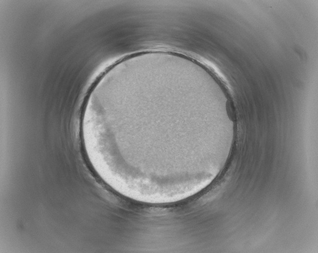 X0000114101424200911161049