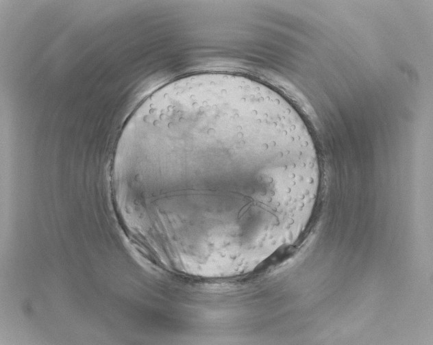 X0000114101425200911161049