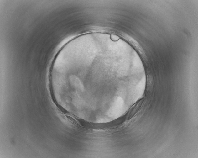 X0000114101427200911161049