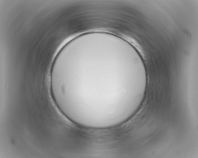 X0000114101428200911161049